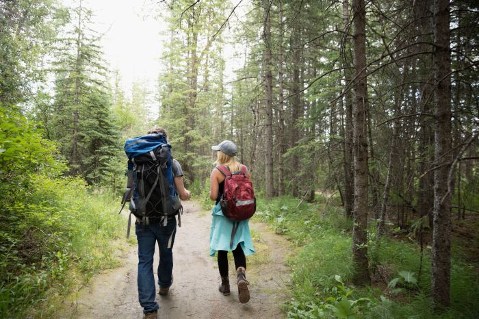 Wald wandert junge