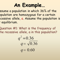 Hardy-weinberg practice problems answer key with work