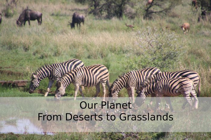 Our planet episode 5 from deserts to grasslands answer key